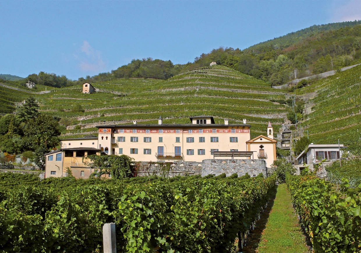 Tenuta La Gatta | Valtellina | Casa Vinicola Triacca